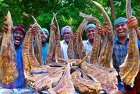 ببینید؛ غذای روستایی در هند؛ پخت یک خورشت محبس با سفره ماهی خشک شده