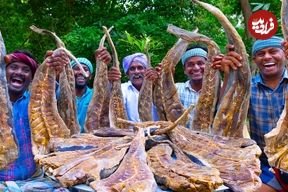 ببینید؛ غذای روستایی در هند؛ پخت یک خورشت محبس با سفره ماهی خشک شده