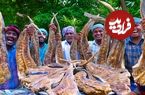 ببینید؛ غذای روستایی در هند؛ پخت یک خورشت محبس با سفره ماهی خشک شده