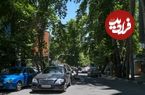 عکس؛ سفر در تاریخ؛ شکل و شمایل «شمال شهر تهران»؛ نیم قرن قبل