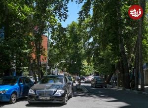 عکس؛ سفر در تاریخ؛ شکل و شمایل «شمال شهر تهران»؛ نیم قرن قبل