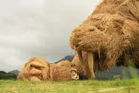 (تصاویر) باغ‌وحش هیولاهای «حصیری» در ژاپن