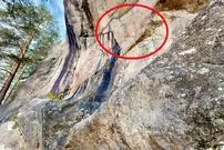 باستان‌شناسان «نقاشی‌های 5 هزارساله» را بر روی یک دیوارۀ صخره‌ای در جنگل پیدا کردند