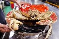 ببینید| غذای خیابانی در ویتنام؛ پخت انواع غذا با شاه خرچنگ تاسمانی غول پیکر در هانوی