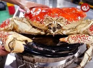 ببینید| غذای خیابانی در ویتنام؛ پخت انواع غذا با شاه خرچنگ تاسمانی غول پیکر در هانوی