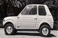 تصاویر| گاچک؛ خودوریی شبیه به خفاش ویژه معلولان 