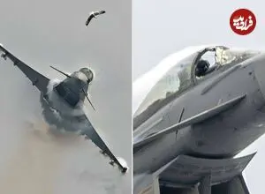 آیا برخورد با پرنده جنگنده را سرنگون می‌کند؟