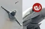 آیا برخورد با پرنده جنگنده را سرنگون می‌کند؟