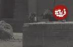 عکس| سفر زمان؛ تصویری از «یک کاروانسرا در قم» در دوران قاجار