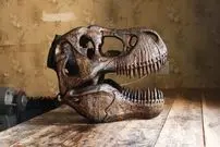 ببینید| مراحل دیدنی ساخت جمجمه تیرانوسوروس با چوب بلوط