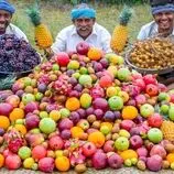 ببینید| غذای روستایی در هند؛ تهیه مربا با سیب، انبه، کیوی، توت‌فرنگی، هندوانه، میوه اژدها و...