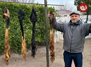 ببینید| غذای روستایی در آذربایجان؛ پخت یک غذای متفاوت با دُم گاو