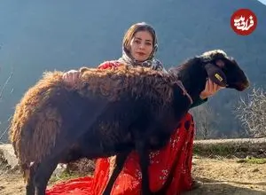 ببینید| غذای روستایی در ایران؛ کباب بره کامل و پخت نان تافتون