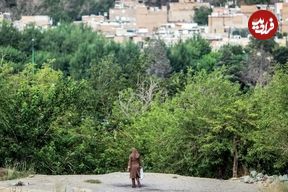 زن جوان، شاکی پژمان جمشیدی، سکوتش را شکست