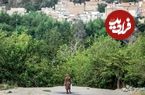 زن جوان، شاکی پژمان جمشیدی، سکوتش را شکست