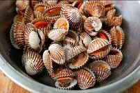 ببینید| غذای خیابانی در کامبوج؛ قورباغه کبابی و صدف سرخ شده در پنوم پن