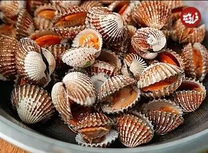 ببینید| غذای خیابانی در کامبوج؛ قورباغه کبابی و صدف سرخ شده در پنوم پن