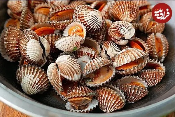 ببینید| غذای خیابانی در کامبوج؛ قورباغه کبابی و صدف سرخ شده در پنوم پن