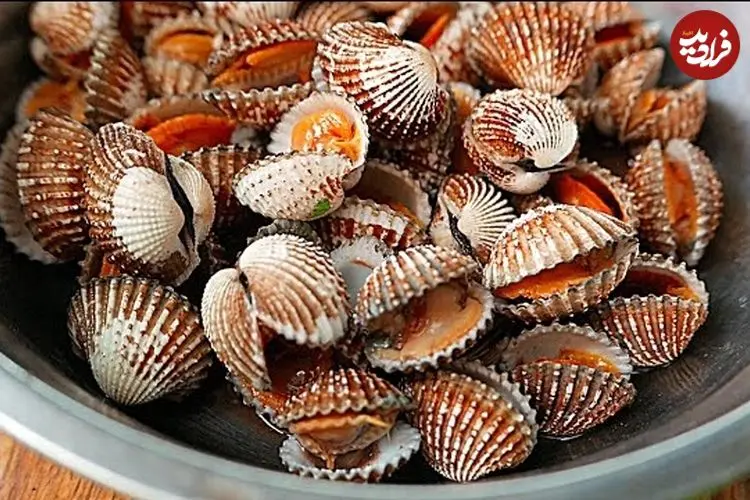 ببینید| غذای خیابانی در کامبوج؛ قورباغه کبابی و صدف سرخ شده در پنوم پن