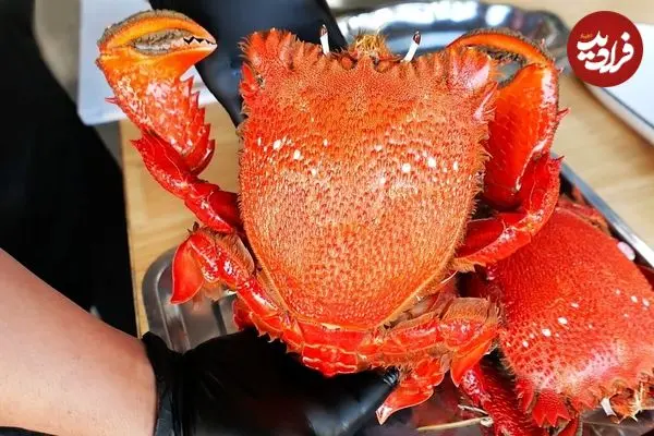 ببینید| غذای خیابانی در ویتنام؛ پخت غذاهای متنوع با خرچنگ بزرگ قرمز در هانوی