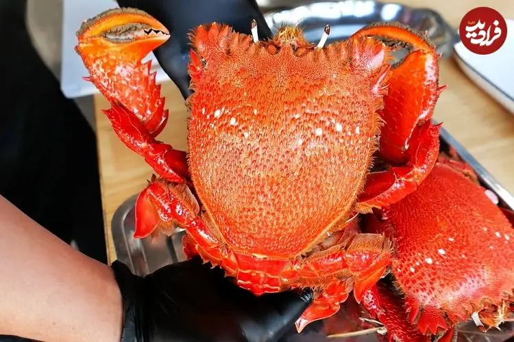 ببینید| غذای خیابانی در ویتنام؛ پخت غذاهای متنوع با خرچنگ بزرگ قرمز در هانوی