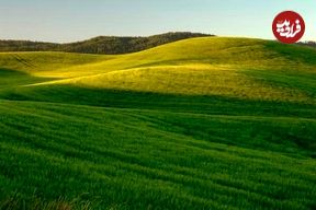 ماجرای احداث جاده اختصاصی در قلب کوهستان مُجن چه بود؟