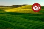 ماجرای احداث جاده اختصاصی در قلب کوهستان مُجن چه بود؟