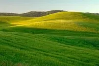 ماجرای احداث جاده اختصاصی در قلب کوهستان مُجن چه بود؟