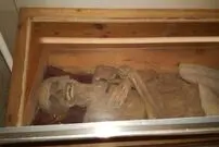 رازهای تاریخی که در سال ۲۰۲۵ به کمک علم حل شدند؛ از مومیایی اتریشی تا قایق دانمارکی