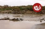 آب این رودخانه تهران حتی برای استفاده دام‌ها هم آلوده است؛ صدور هشدار قضایی: این آب غیرقابل مصرف است!