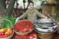 ببینید؛ غذای روستایی در چین؛ پخت غذا با ماهی سر‌ماری و فلفل تند 