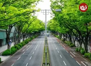 چرا در خیابان‌های ژاپن سطل زباله پیدا نمی‌کنید؟