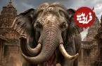 ببینید| پایان بحران فیل رم‌ کرده در هند