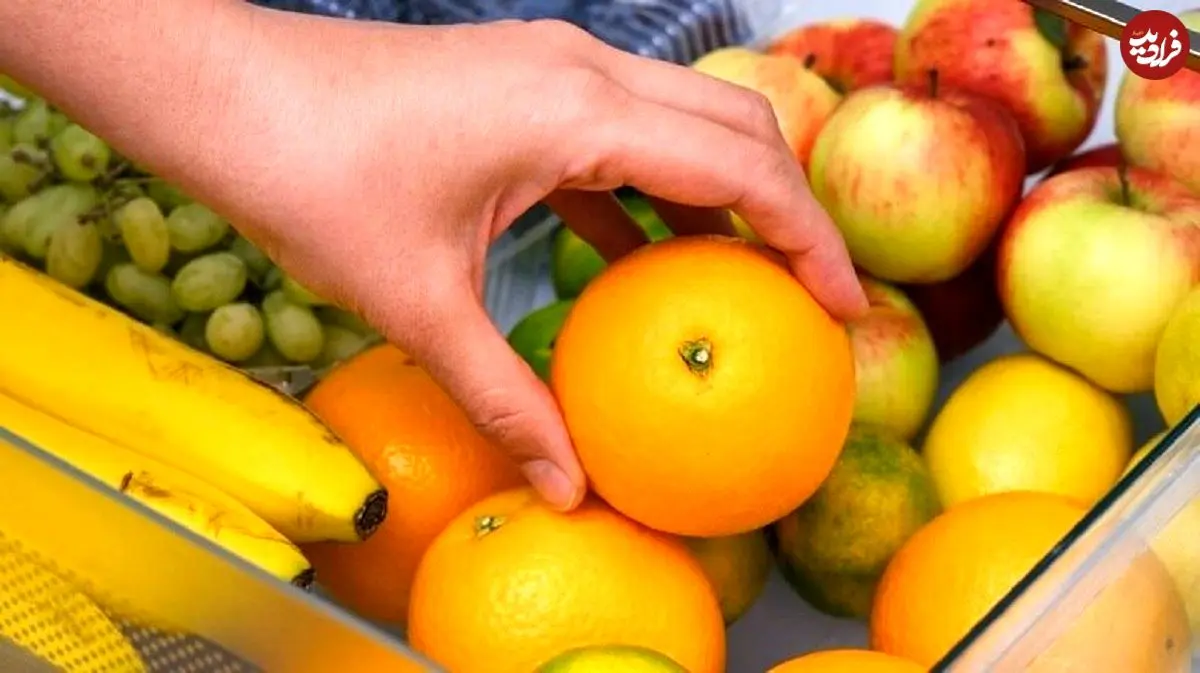 چطور عمر پرتقال را افزایش دهیم؟