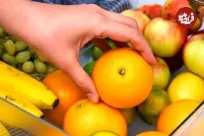 چطور عمر پرتقال را افزایش دهیم؟