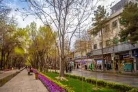 عکس| سفر به ایران قدیم؛ الاغ‌سواری زن اصفهانی با روبنده در خیابان چهارباغ؛ 120 سال قبل
