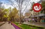 عکس| سفر به ایران قدیم؛ الاغ‌سواری زن اصفهانی با روبنده در خیابان چهارباغ؛ 120 سال قبل