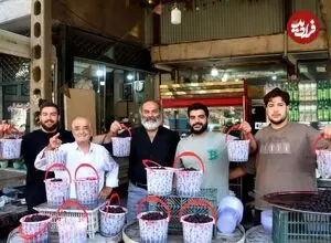 گل سرسبد شاتوت ایران کجاست؟