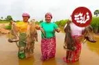 ببینید| غذای روستایی در سنگاپور؛ صید ماهی با تور و کباب کردن آن در طبیعت