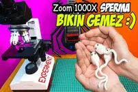 (ویدئو) زوم 1000 برابر؛ نحوه حرکت کردن واقعی اسپرم ها زیر میکروسکوپ