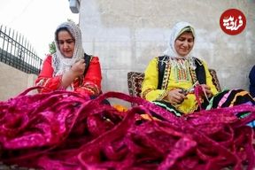 تصاویر؛ جادوی «لی» در دستان زنان گیلان