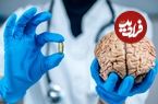 چگونه می‌توان با استفاده از «انگل» مغز را درمان کرد؟