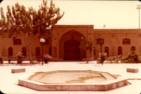 عکس؛ دورهمی ۴۰ جمجمه ۵هزار ساله در امیرآباد