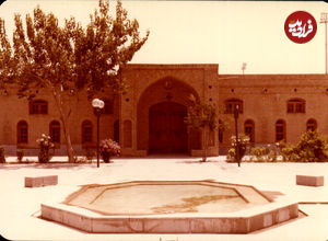 عکس؛ دورهمی ۴۰ جمجمه ۵هزار ساله در امیرآباد