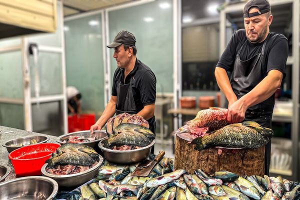 (ویدئو) غذای خیابانی محبوب در ازبکستان؛ صید، پردازش و پخت متفاوت ماهی تازه