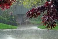 (ویدئو) آبشاری از باران در جزیره زیبای هرمز