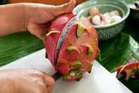 ببینید| غذای خیابانی در تایلند؛ تهیه سالاد با دراگون فروت، رامبوتان و تخم بلدرچین در بانکوک