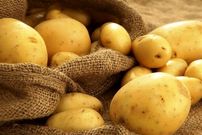 آیا مصرف سیب زمینی به کاهش وزن کمک می‌کند؟