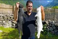 ببینید| غذای خیابانی در آذربایجان؛ پخت خورشت با خرگوش در طبیعت