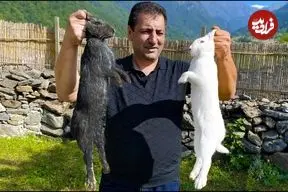 ببینید| غذای خیابانی در آذربایجان؛ پخت خورشت با خرگوش در طبیعت